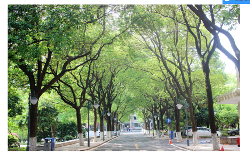 湖南网络工程职业学院