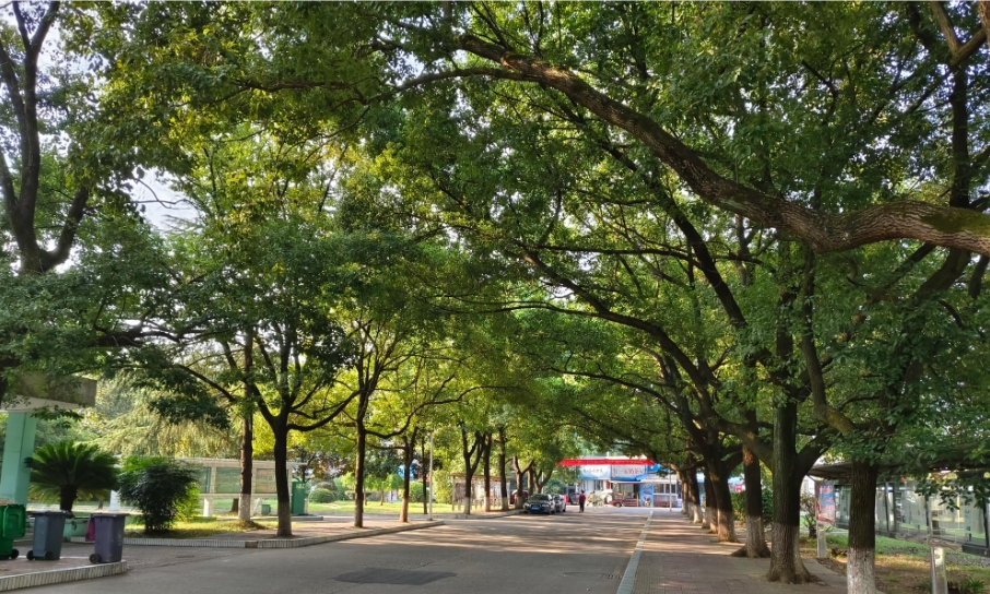 湖南文理学院芙蓉学院
