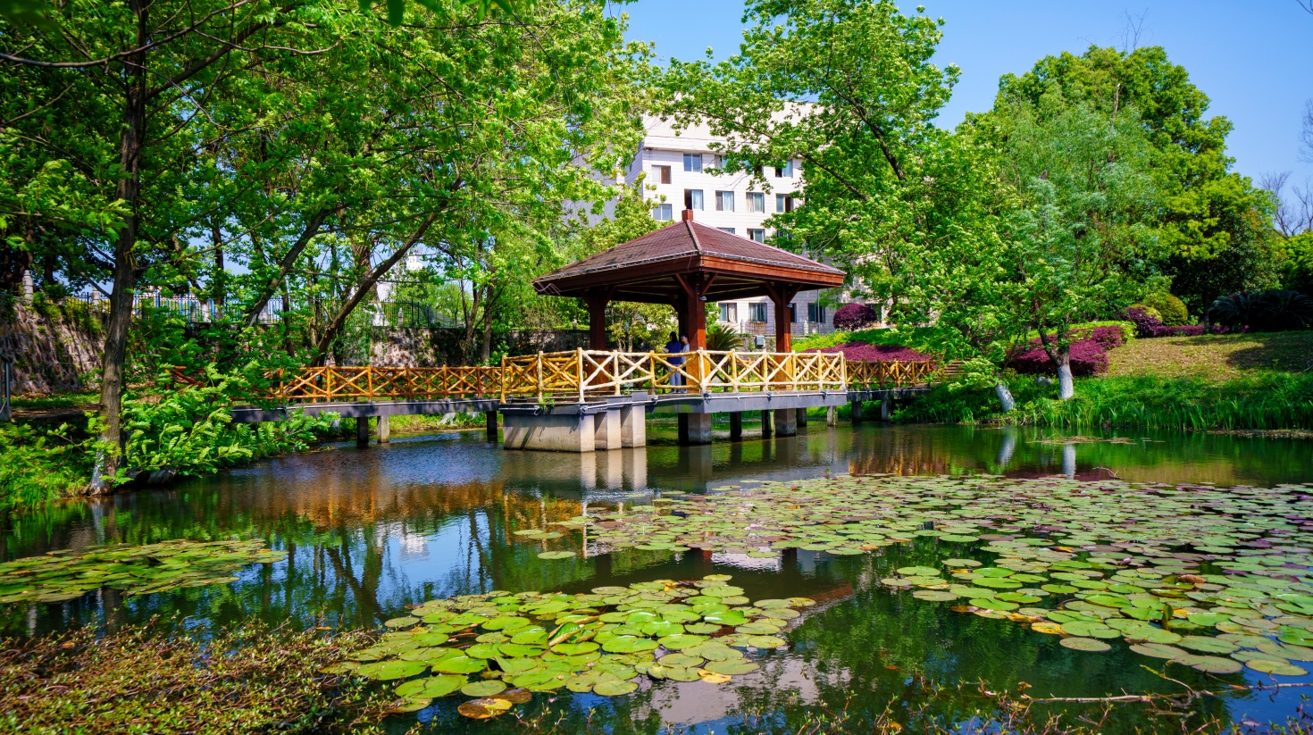 湖南理工学院南湖学院