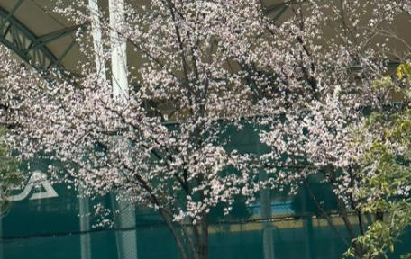 义乌工商职业技术学院