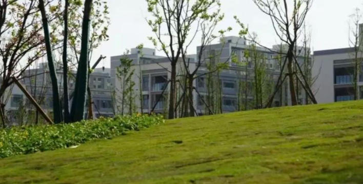 安徽交通职业技术学院