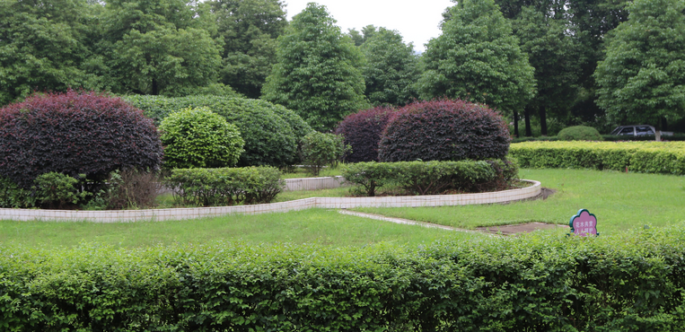 邵阳职业技术学院