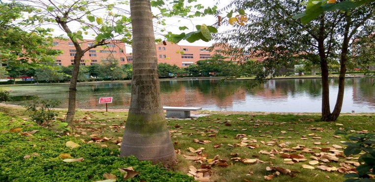 广州南洋理工职业学院