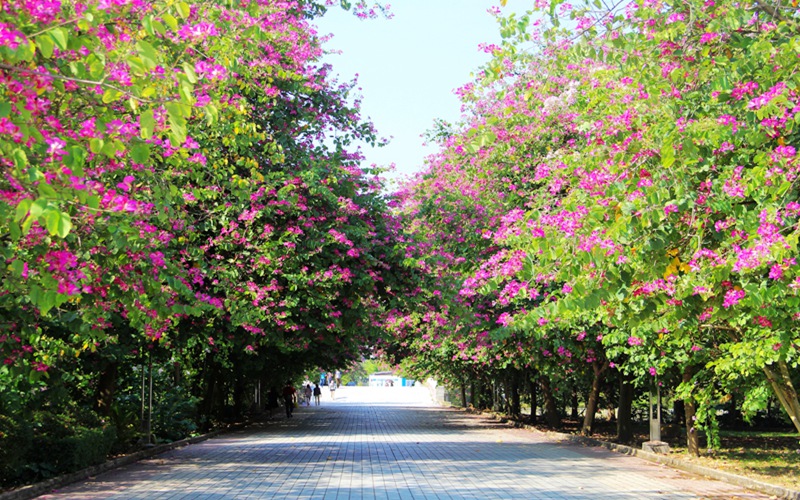 清远职业技术学院