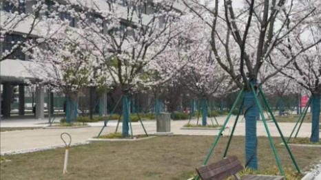 宁波城市职业技术学院