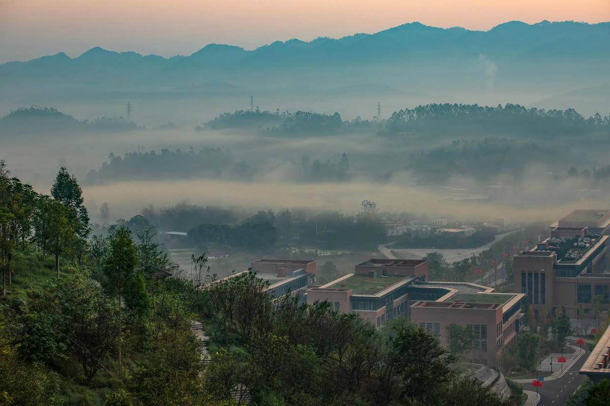 重庆中医药学院