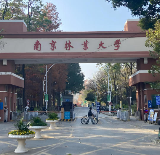 南京林业大学