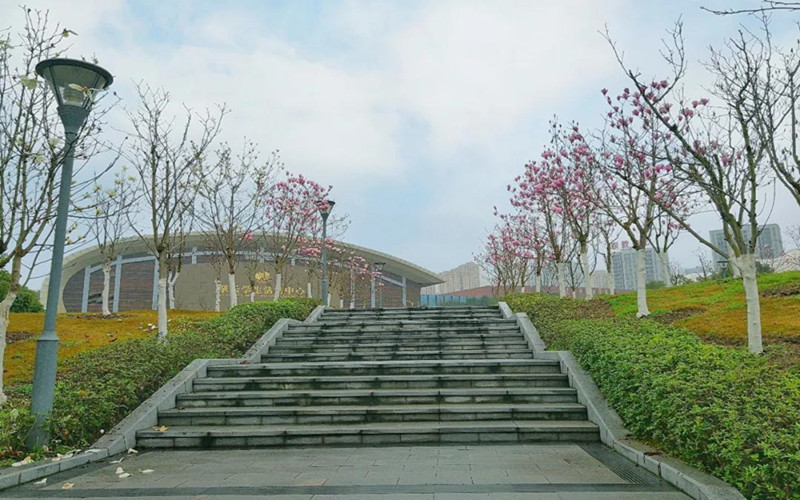 长江师范学院
