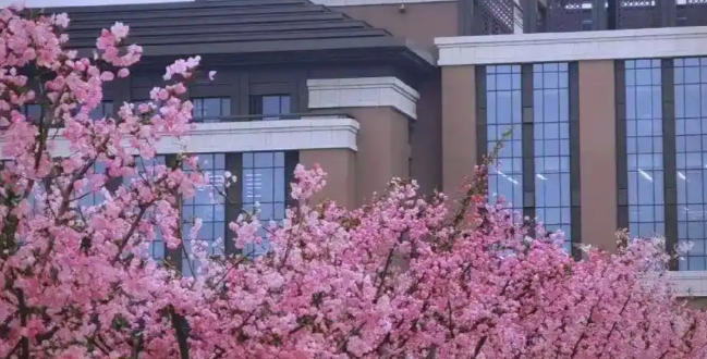 江苏第二师范学院