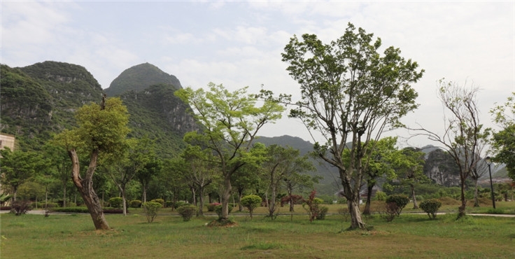 桂林生命与健康职业技术学院