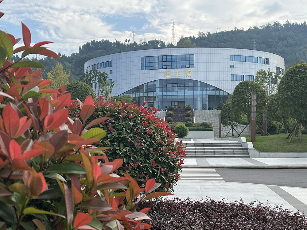 重庆数字产业职业技术学院