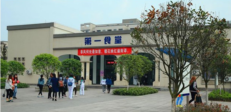 重庆外语外事学院