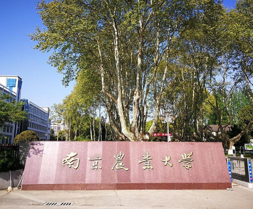 南京农业大学