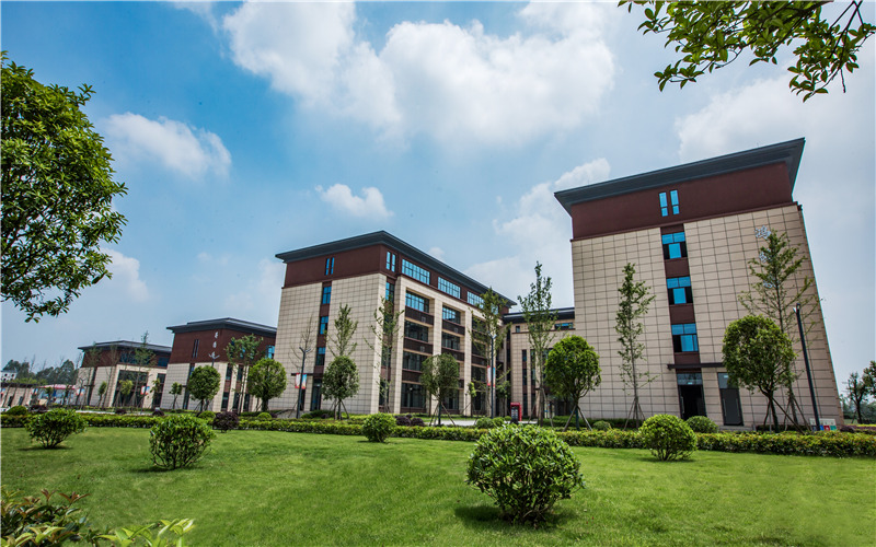 重庆智能工程职业学院