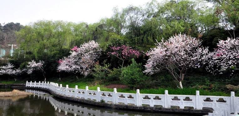 重庆信息技术职业学院