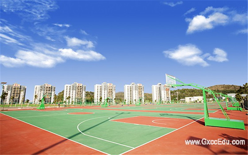 广西城市职业大学