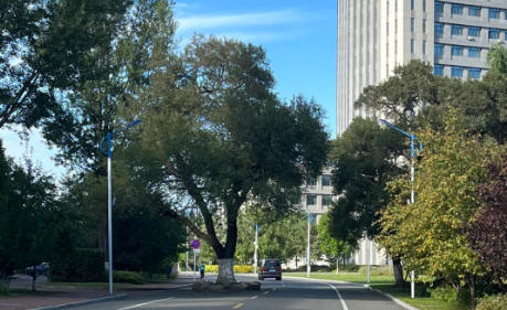 齐齐哈尔医学院