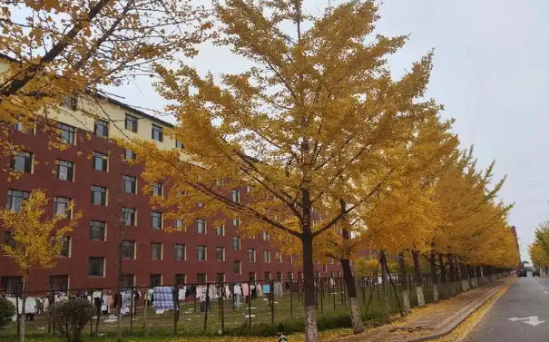 辽宁农业职业技术学院