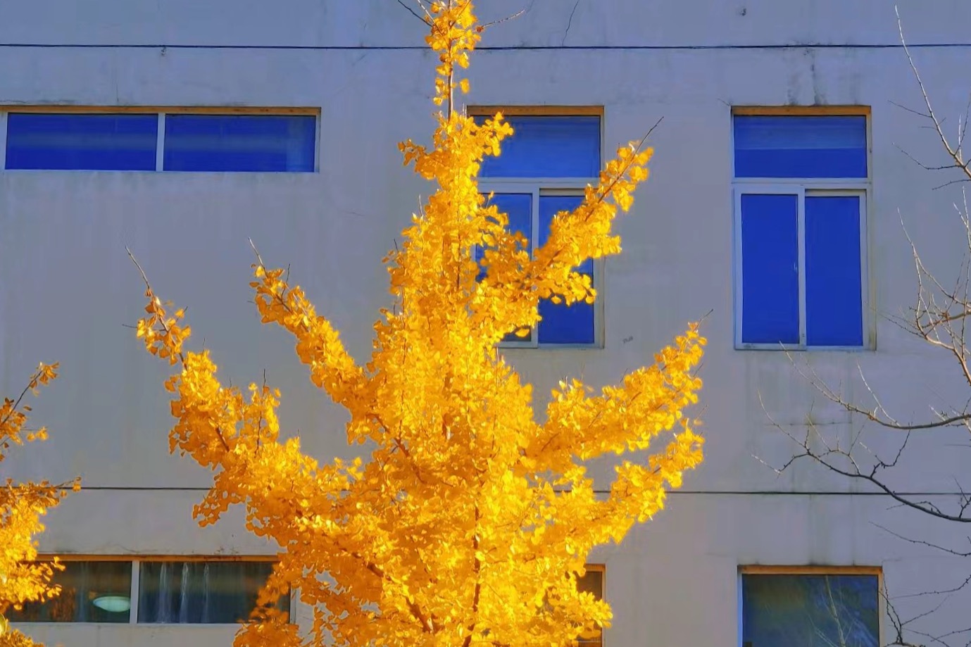 贵州盛华职业学院