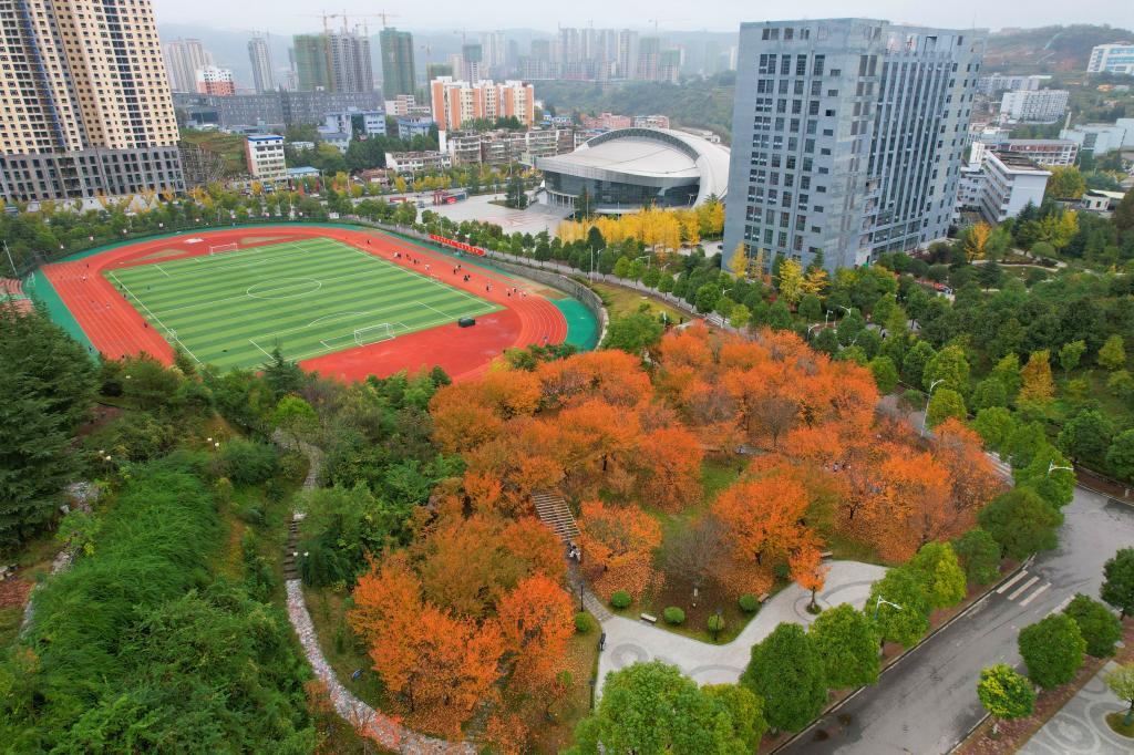 贵州工程应用技术学院