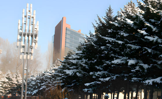 佳木斯职业学院