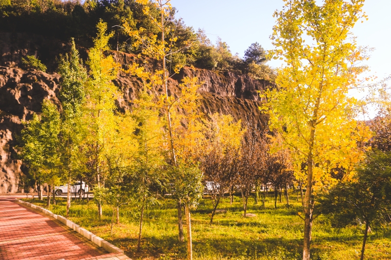 贵州城市职业学院