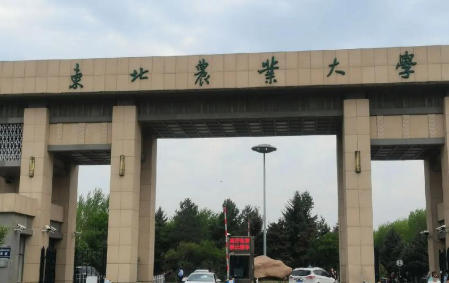 东北农业大学