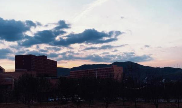 辽宁医药职业学院