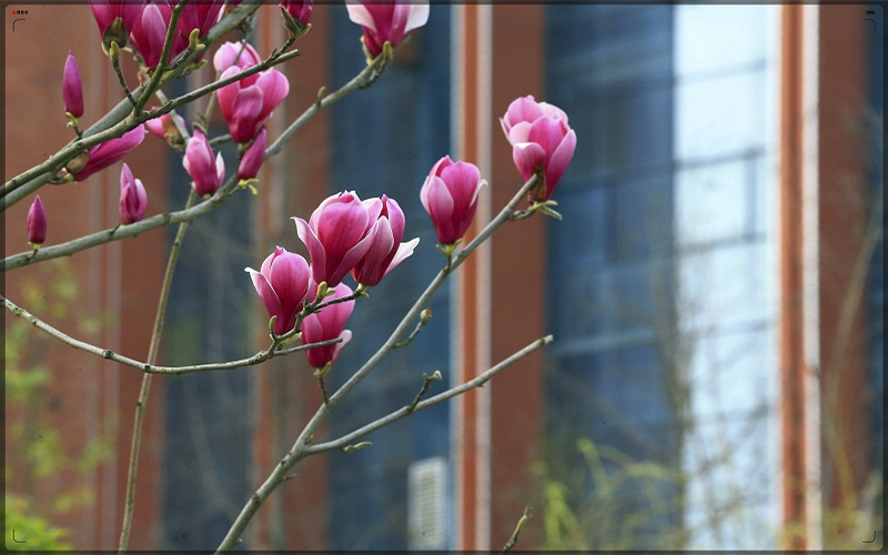 遵义医药高等专科学校
