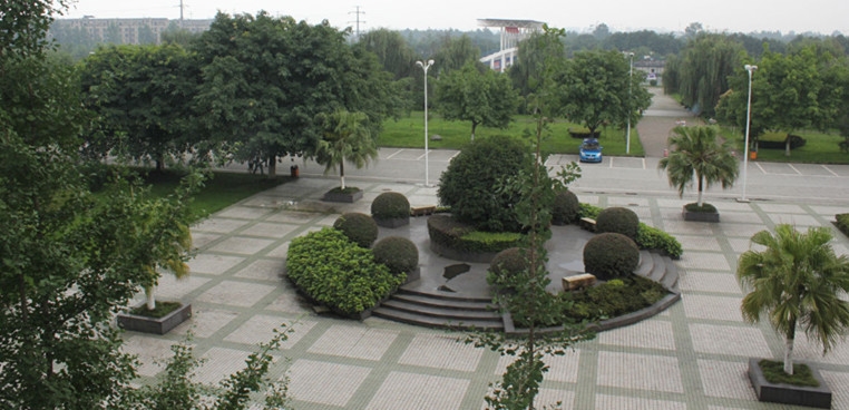 电子科技大学成都学院