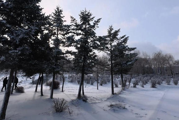 大连装备制造职业技术学院