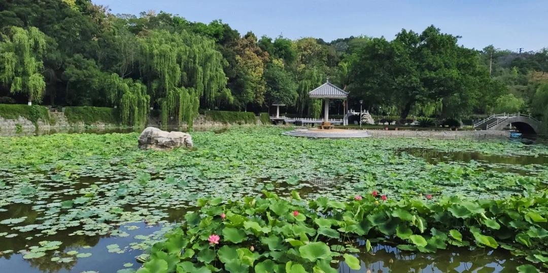 攀枝花攀西职业学院