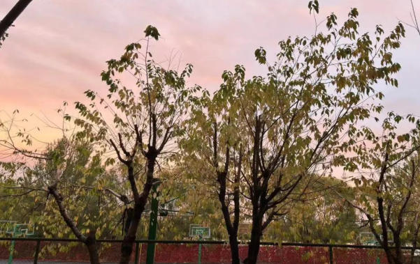 哈尔滨远东理工学院