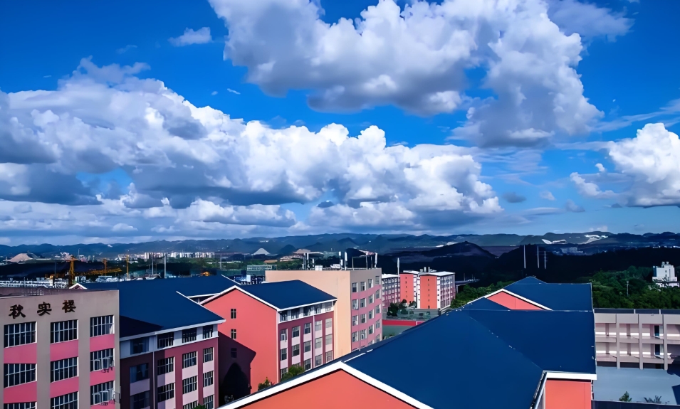 贵州医科大学神奇民族医药学院