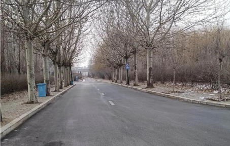 沈阳北软信息职业技术学院