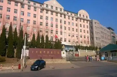 大连软件职业学院