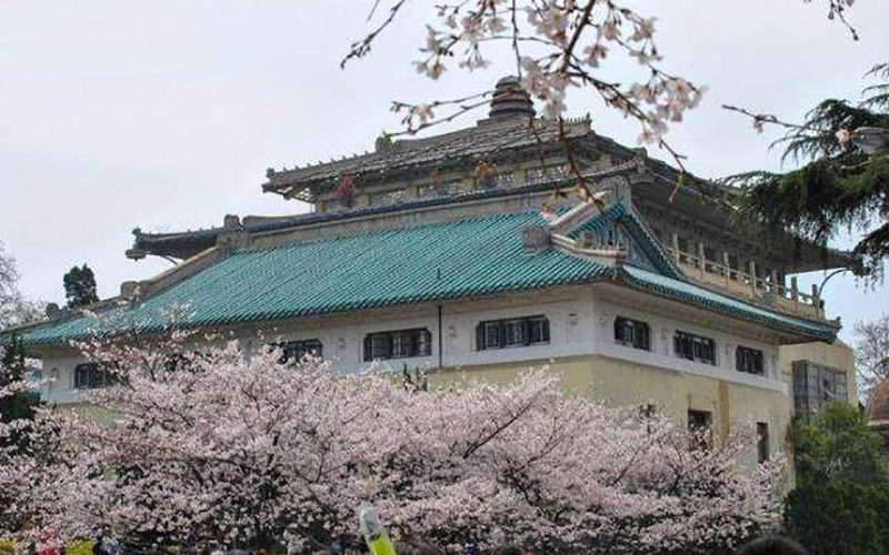 武汉大学法学院