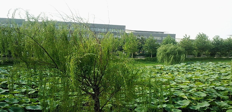 邯郸学院