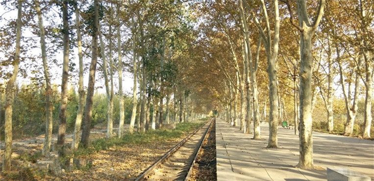 河北司法警官职业学院