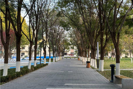 首都师范大学科德学院