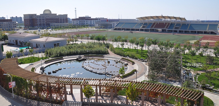 南开大学滨海学院