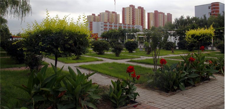 河北女子职业技术学院