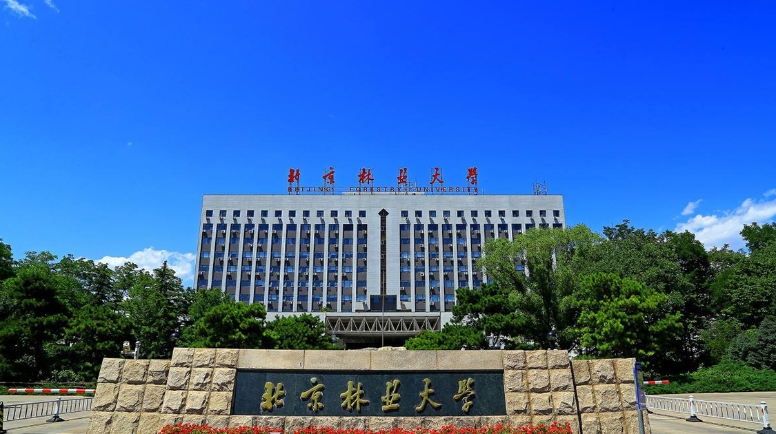 北京林业大学