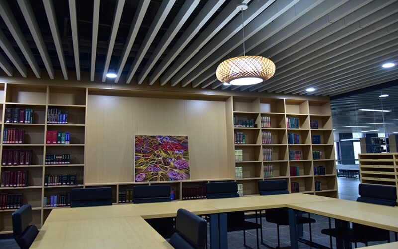 河北医科大学临床学院