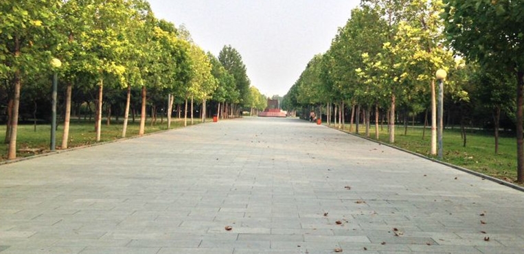 河北农业大学现代科技学院