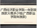 广西经济职业学院一年财政拨款大概多少钱(广西职业学院年拨款)