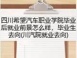 四川希望汽车职业学院毕业后就业前景怎么样，毕业生去向(川汽院就业去向)
