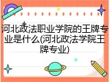 河北政法职业学院的王牌专业是什么(河北政法学院王牌专业)