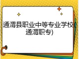 通渭县职业中等专业学校(通渭职专)