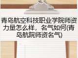 青岛航空科技职业学院师资力量怎么样，名气如何(青岛航院师资名气)